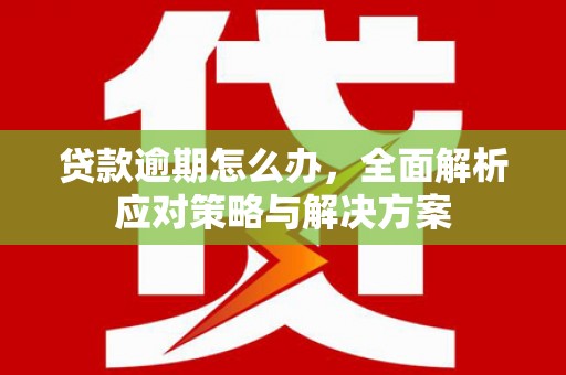 禄劝贷款逾期怎么办，全面解析应对策略与解决方案