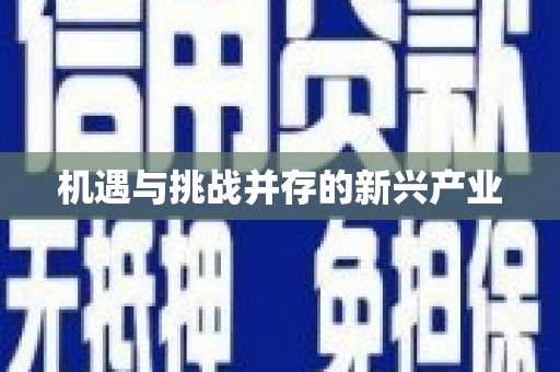 禄劝机遇与挑战并存的新兴产业