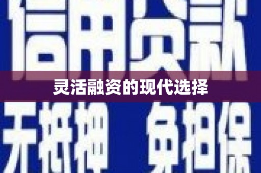 禄劝灵活融资的现代选择
