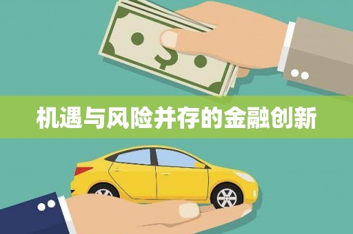 禄劝机遇与风险并存的金融创新