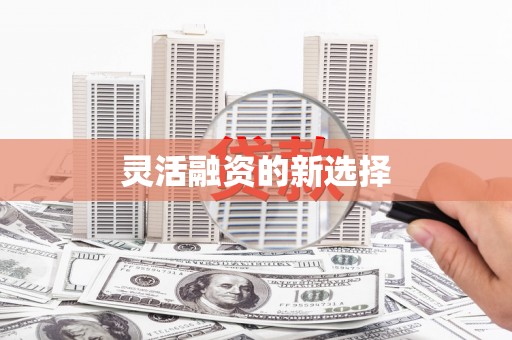 禄劝灵活融资的新选择