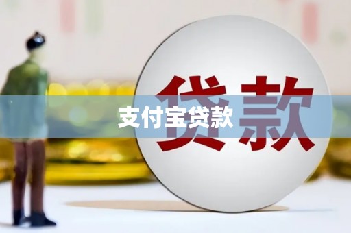 禄劝支付宝贷款