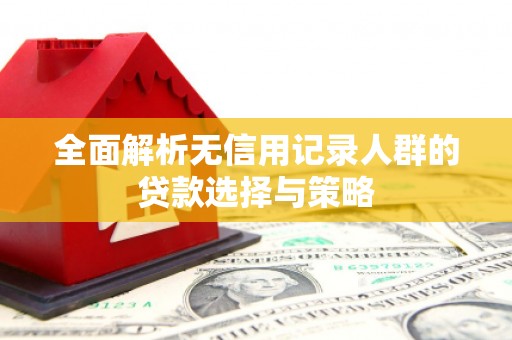 禄劝全面解析无信用记录人群的贷款选择与策略