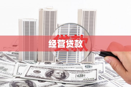 禄劝经营贷款