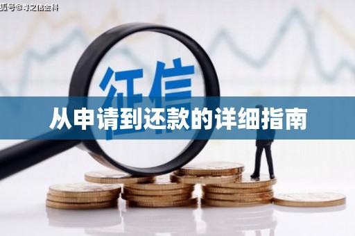 禄劝从申请到还款的详细指南