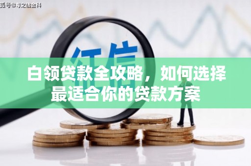 禄劝白领贷款全攻略，如何选择最适合你的贷款方案